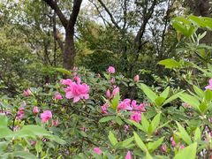 -宝界山林公园