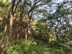 -萨尔浒风景区