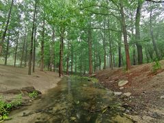 -白水寺森林公园