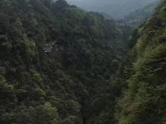 -中国大熊猫保护研究中心雅安碧峰峡基地