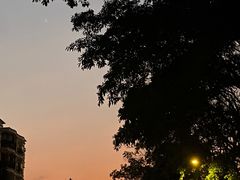 -麦当劳(番禺易发商业街店)