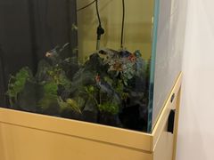 -汤森悠生活文化汤(江宁万达店)