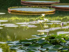 -国家植物园南园