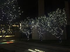 -映月湖中央公园
