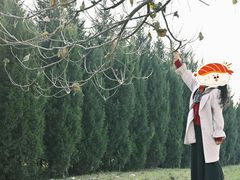 -汉长安城未央宫国家考古遗址公园