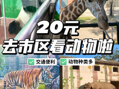 -广州动物园