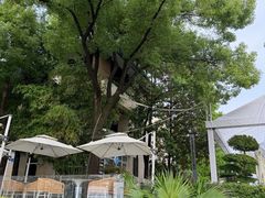 -湖滨客舍·湖北菜