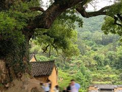 -杨家堂村