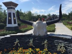 -武清南湖绿博园