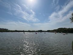 -大兴滨河森林公园