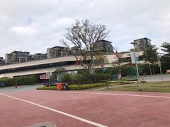 -飞凤山奥体公园