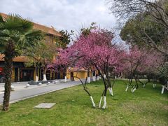 -太子山公园(园东路)