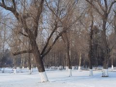 -长春市南湖公园