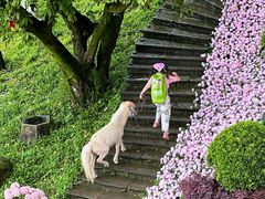 -巴倒烫陆派火锅山庄(南山总店)