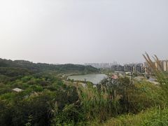 -飞凤山奥体公园