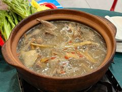-石岐乳鸽村(桥观坊南四巷店)
