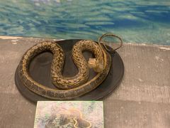 -下渚湖国家湿地公园科普馆