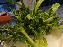 -百草滩羊清水涮羊肉·清真·宁夏盐池滩羊(莲花桥店)