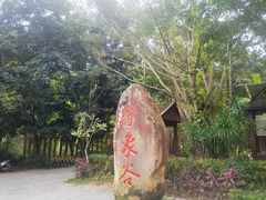 -野象谷景区