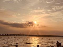 -宝安西湾红树林湿地公园