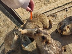-茅山东方盐湖城景区