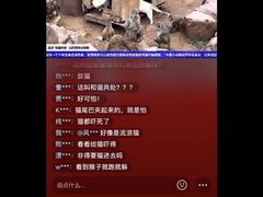 -昆明动物园