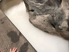 -宝园酒家(美林M·LIVE天地东座店)