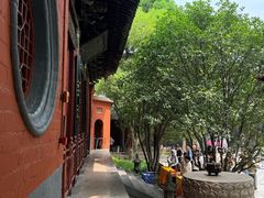 -洛阳白马寺