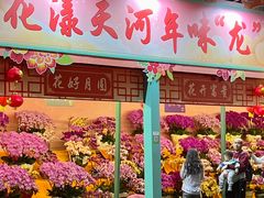 -天河体育中心