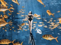 -三亚海昌梦幻海洋不夜城