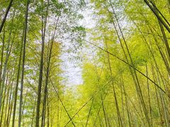 -千泷沟大瀑布旅游区
