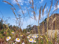 -白草畔自然风景区