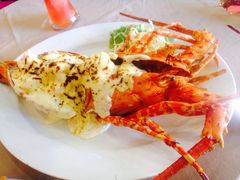 -Red Lobster