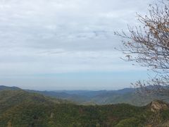 -天女山森林公园
