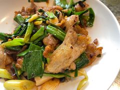 蒜苗回锅肉-文三里屯面馆(三里屯店)