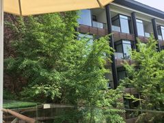 -逸廊大堂吧-下午茶·简餐-千岛湖自由洲际殿