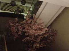 -卡拉卡拉漫温泉汗蒸