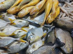 -新鸿港水果市场