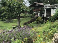 -四季酒店下午茶