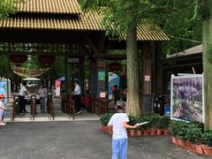 -东平国家森林公园