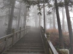 -横岗山森林公园