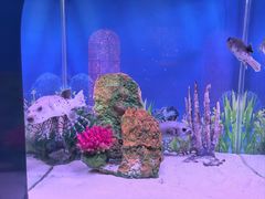 -秦皇岛新澳海底世界