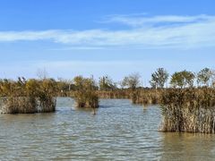 -盐城丹顶鹤湿地生态旅游区