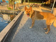 -DGE季风钓虾营地·团建·聚会