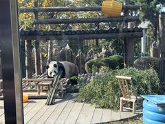 -大连森林动物园