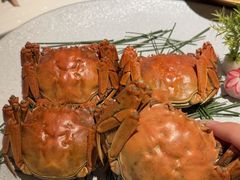 -上井料理黑金店(IFS国金中心店)