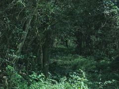 -福建泉州仙公山风景名胜区