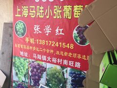 -马陆小张葡萄园农家乐