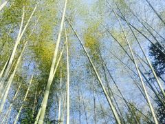 -公盂村