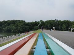-佛手湖郊野公园